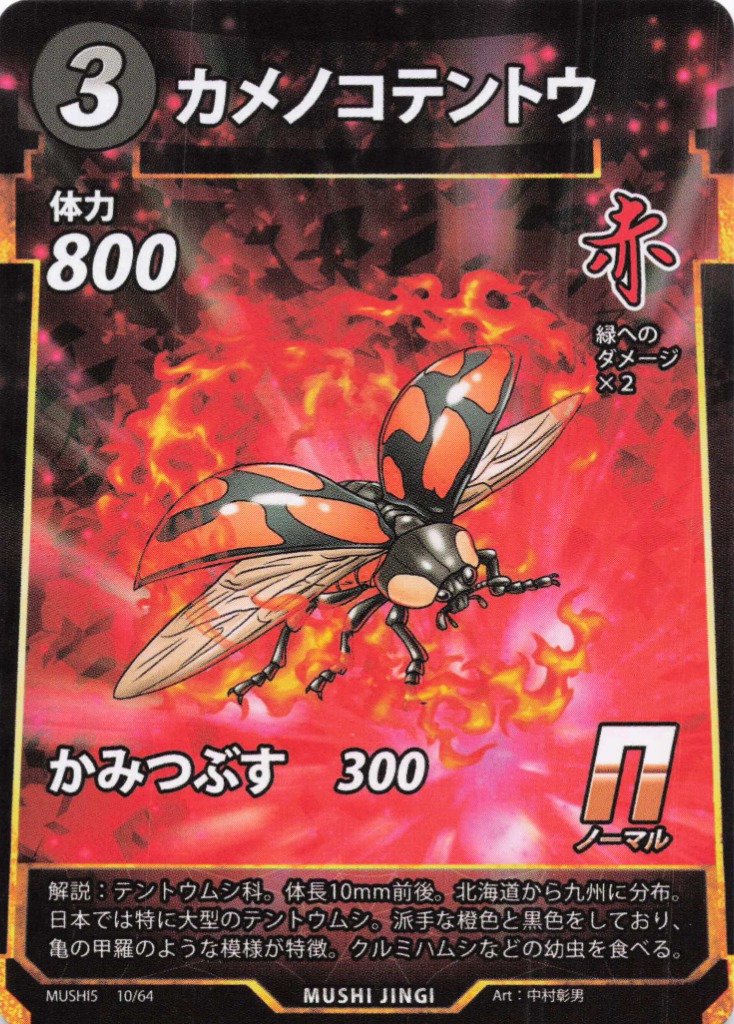 カメノコテントウ（N）のカード画像