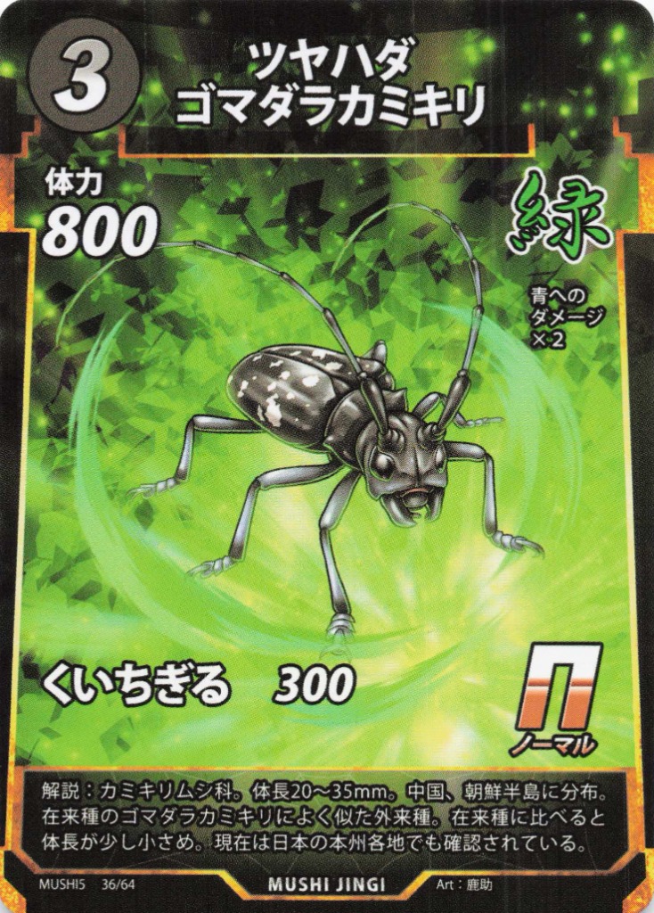 ツヤハダゴマダラカミキリ（N）のカード画像