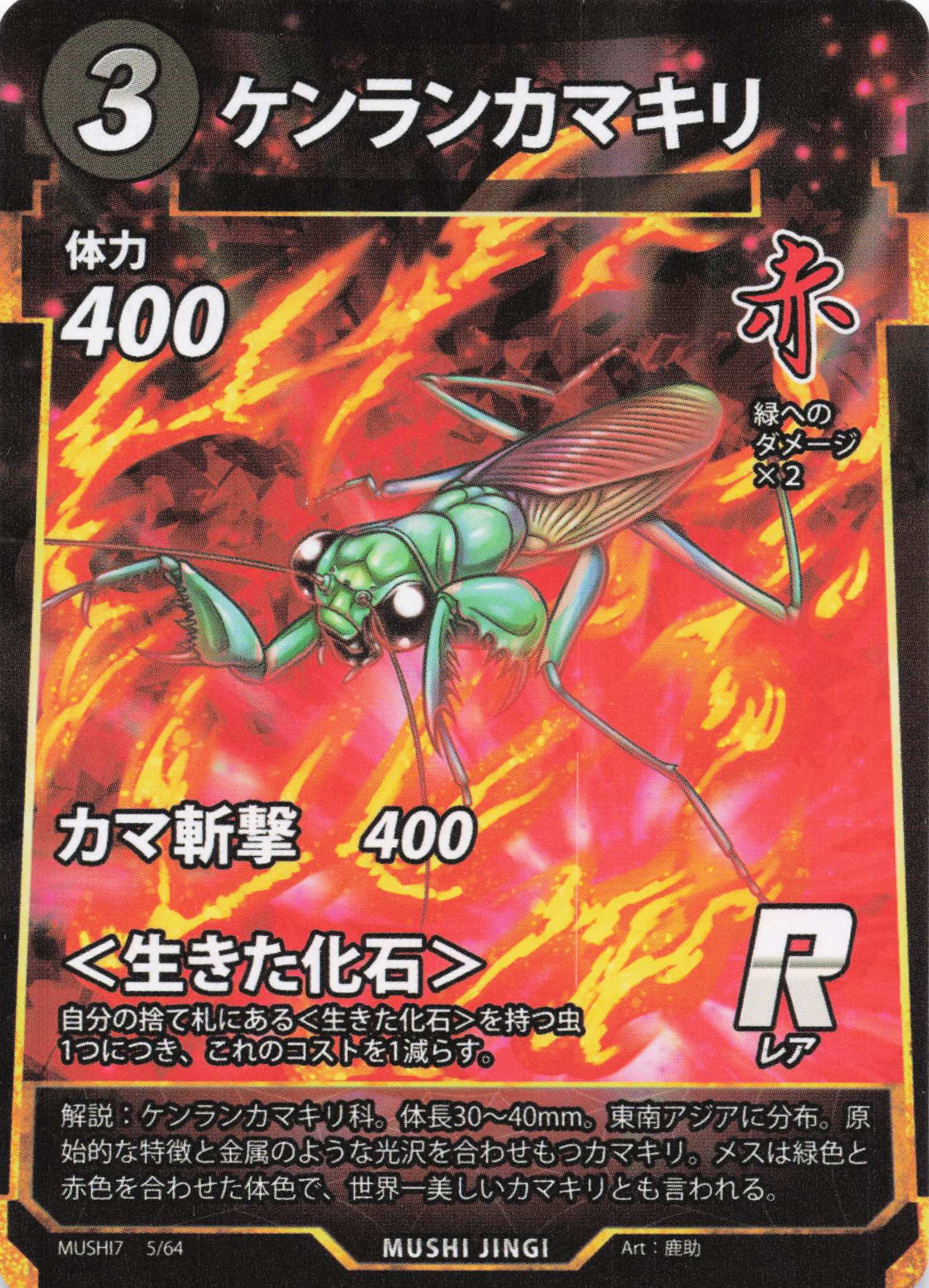 Metallyticus splendidus（R）のカード画像