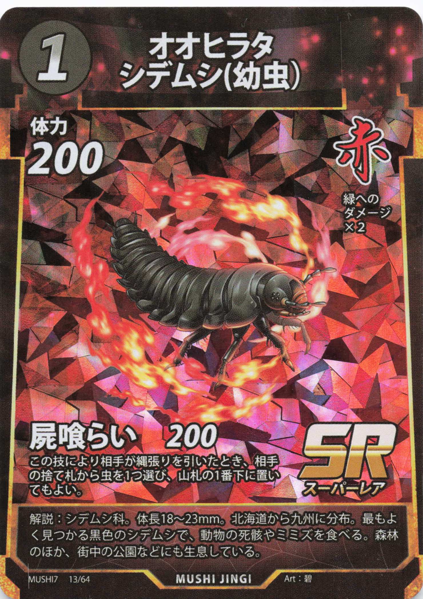 Eusilpha japonica（SR）のカード画像