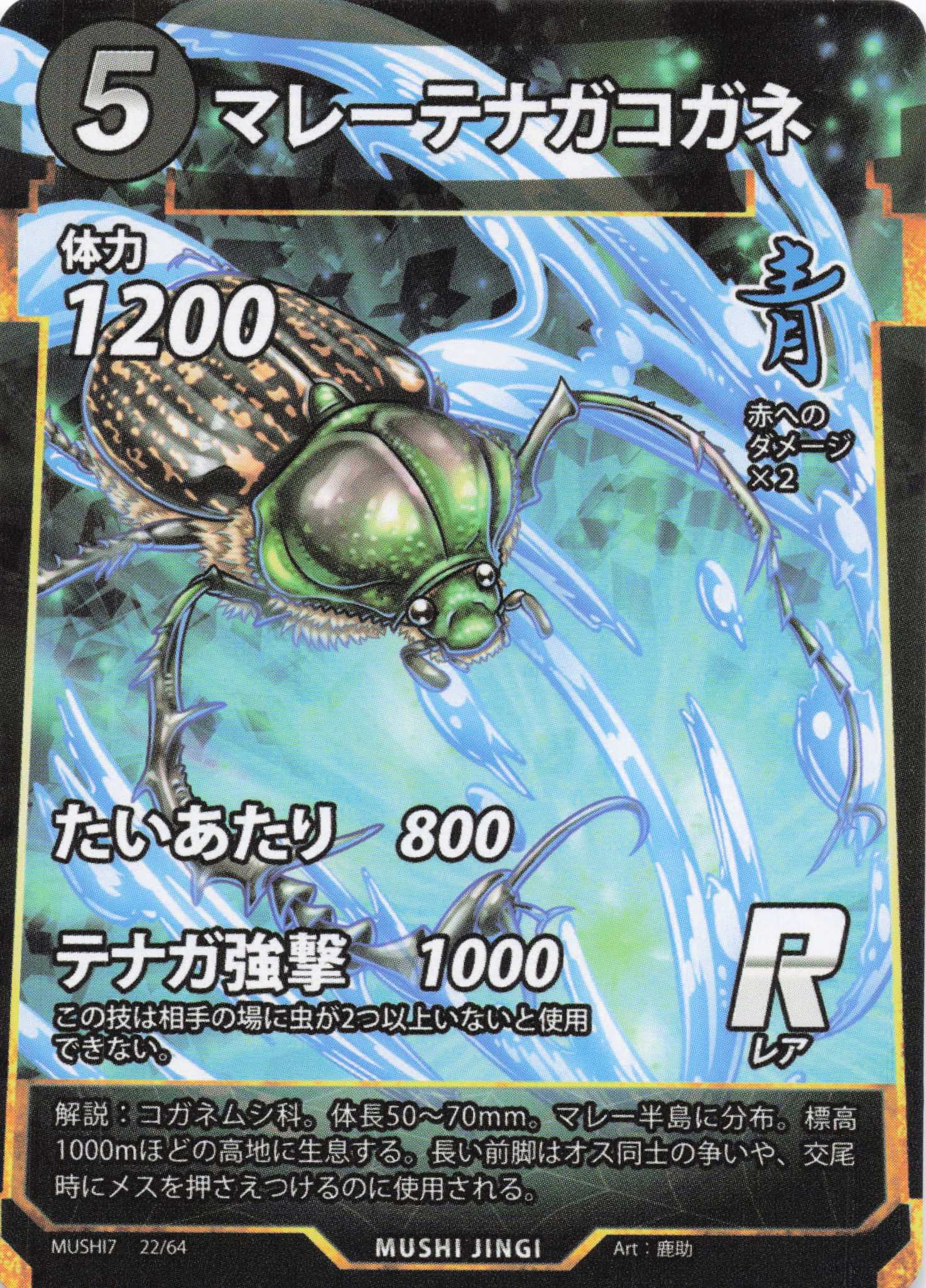 Cheirotonus parryi（R）のカード画像