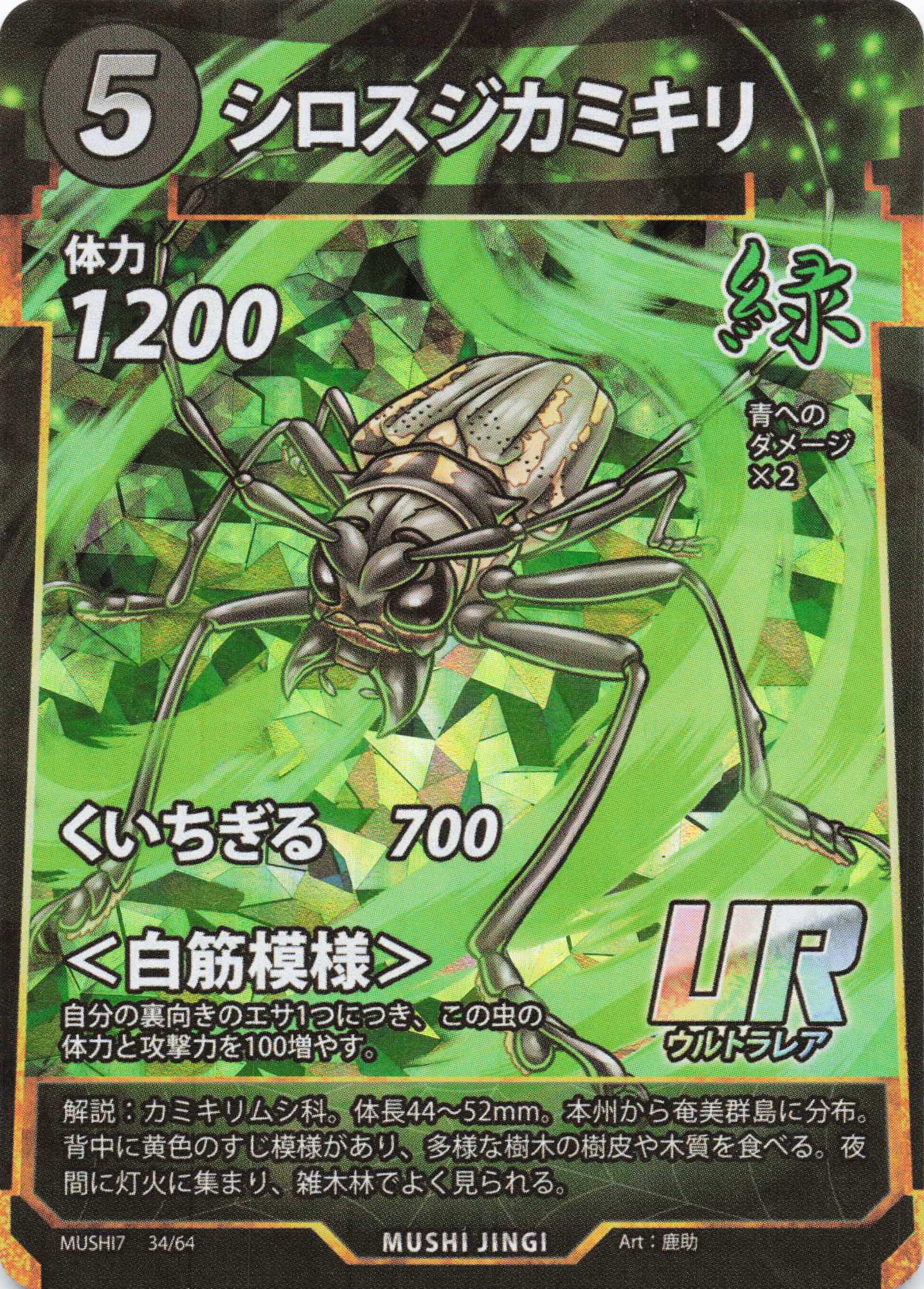 Batocera lineolata（UR）のカード画像