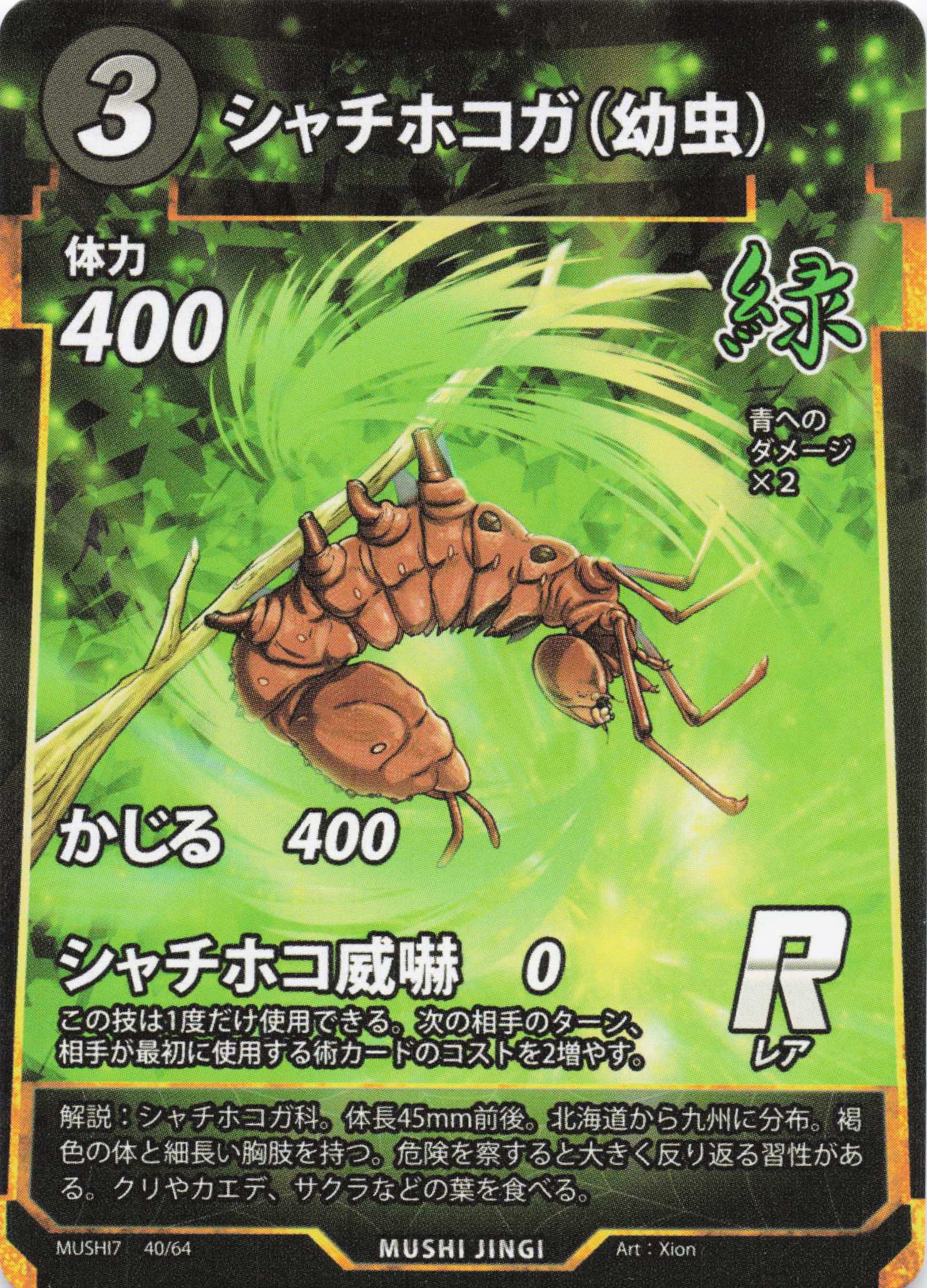 Stauropus fagi（R）のカード画像