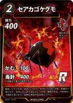 セアカゴケグモのカード画像