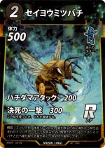 セイヨウミツバチのカード画像