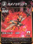 カメノコテントウのカード画像