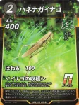 ハネナガイナゴのカード画像